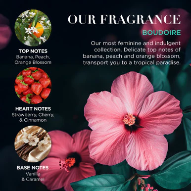 Baylis & Harding Boudoire Luxury Pamper 5 Piece Tin Gift Set - Image 5