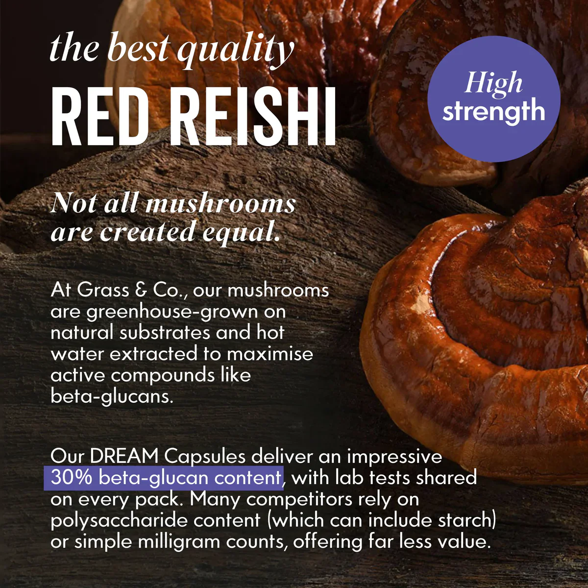 Grass & Co. DREAM Reishi Mushrooms with Magnesium + Sage 60 Vegan Capsules - Image 6