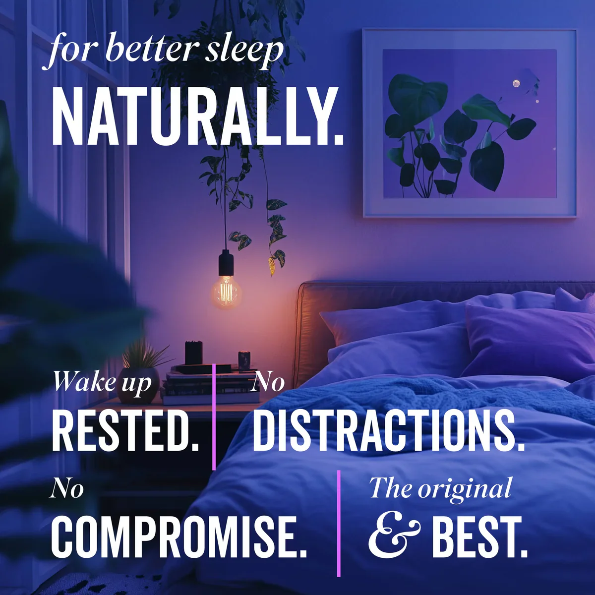 Grass & Co. DREAM Reishi Mushrooms with Magnesium + Sage 60 Vegan Capsules - Image 8
