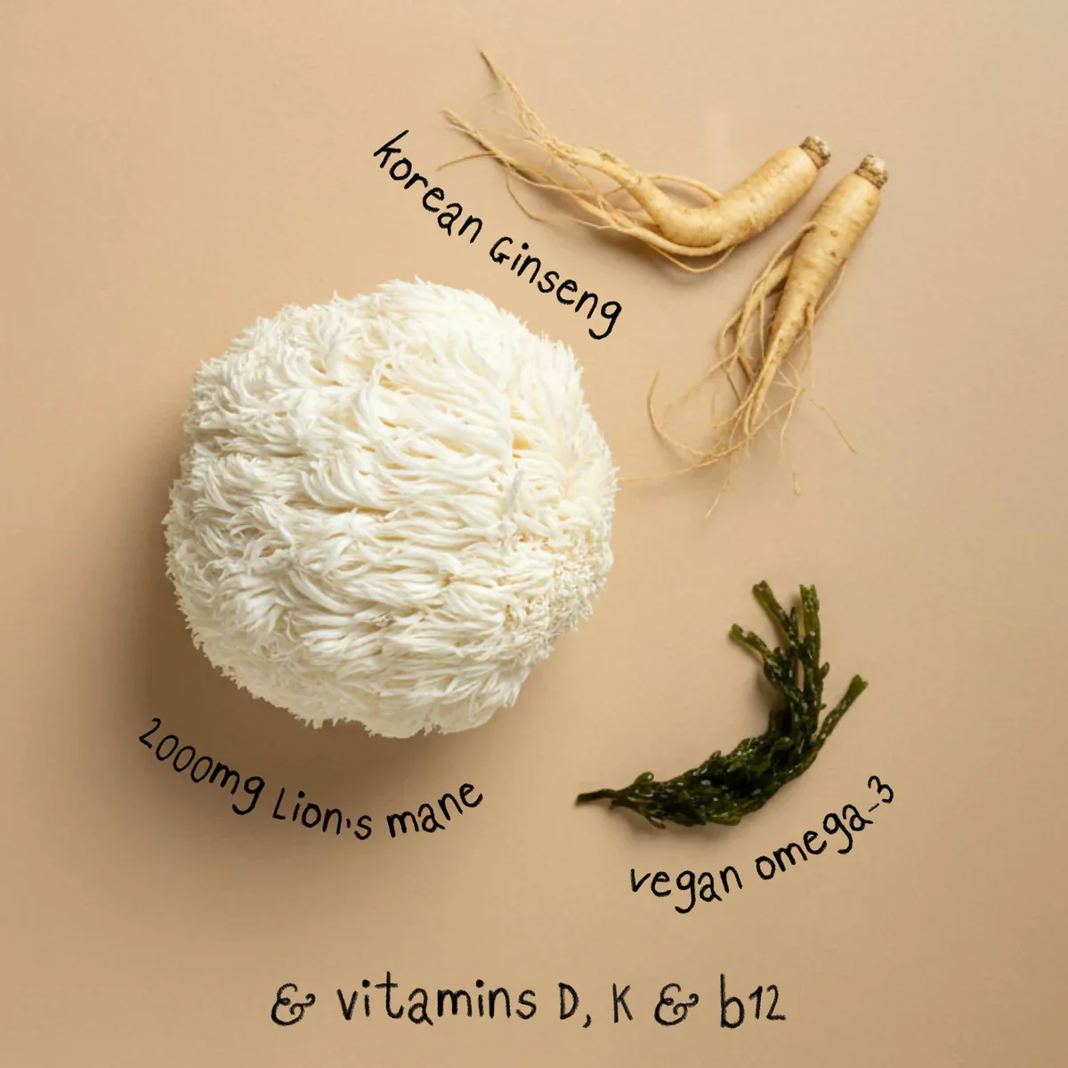 Grass & Co. FOCUS Lion's Mane Mushrooms with Ginseng + Omega-3 60 Vegan Capsules - Image 6