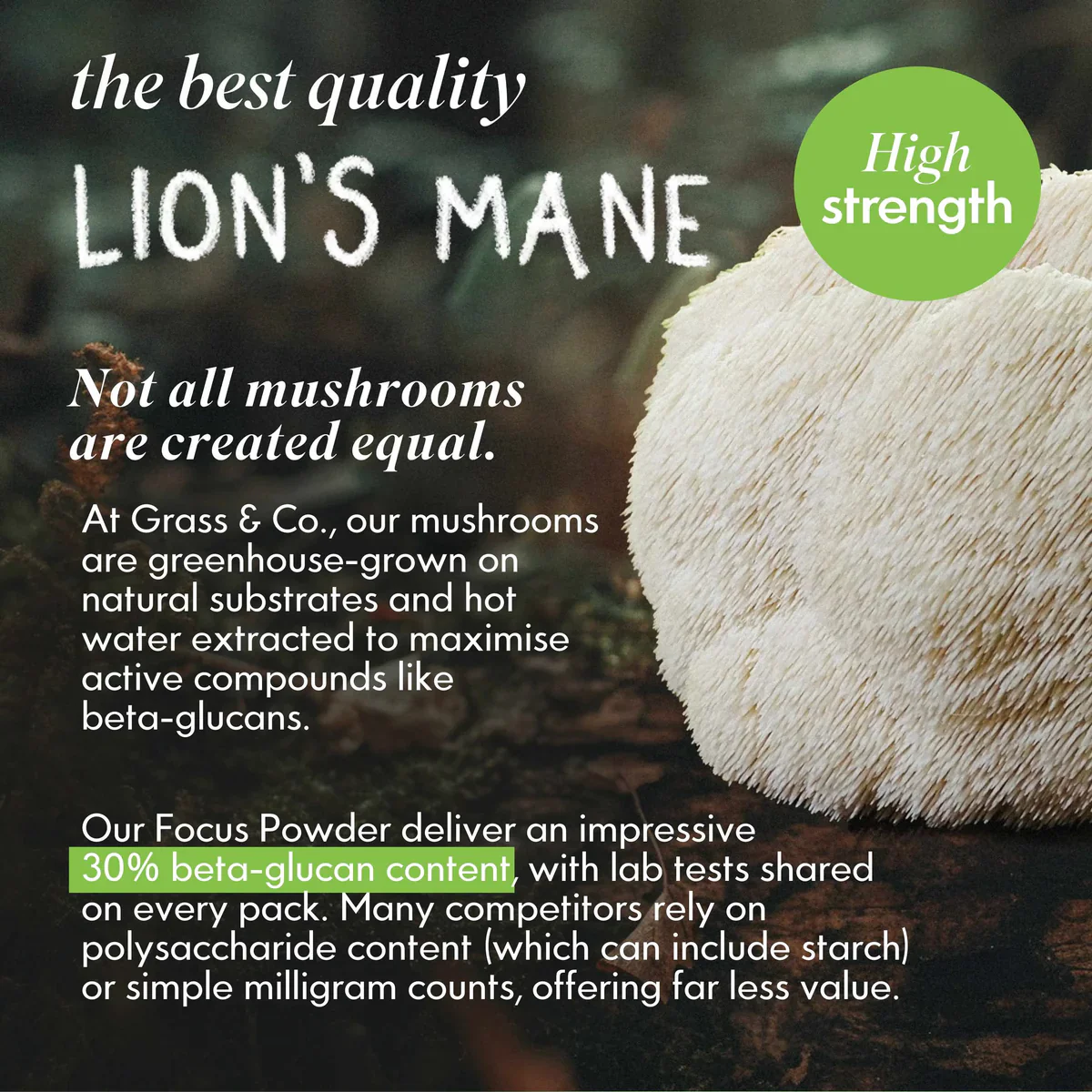 Grass & Co. FOCUS Lion's Mane Mushrooms with Ginseng + Omega-3 60 Vegan Capsules - Image 7