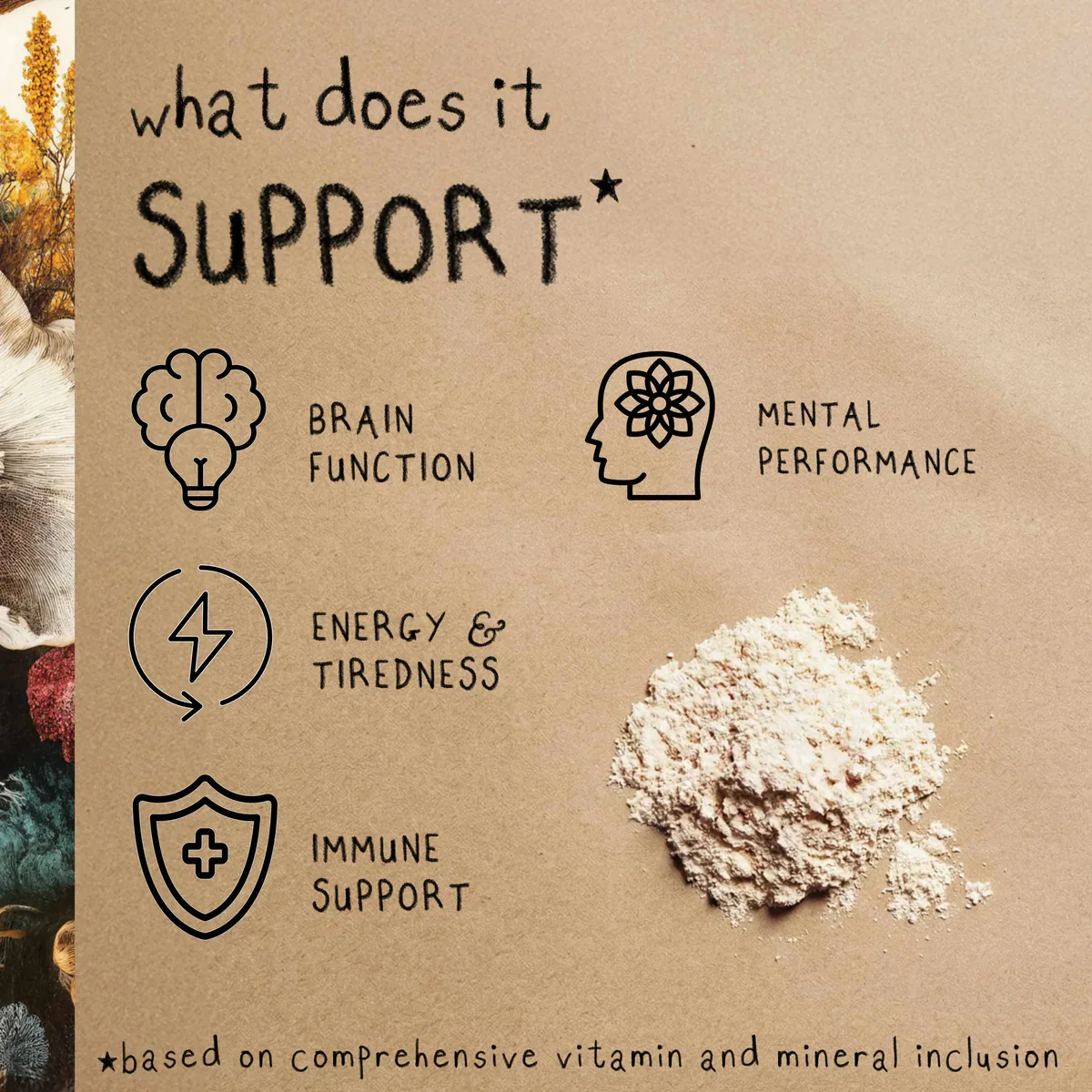 Grass & Co. FOCUS Lion's Mane Mushrooms with Ginseng + Omega-3 60 Vegan Capsules - Image 9