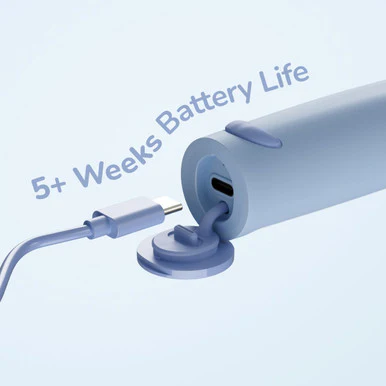 Ordo Sonic Kids Rechargeable Toothbrush - Squishmallows Samir - Image 6