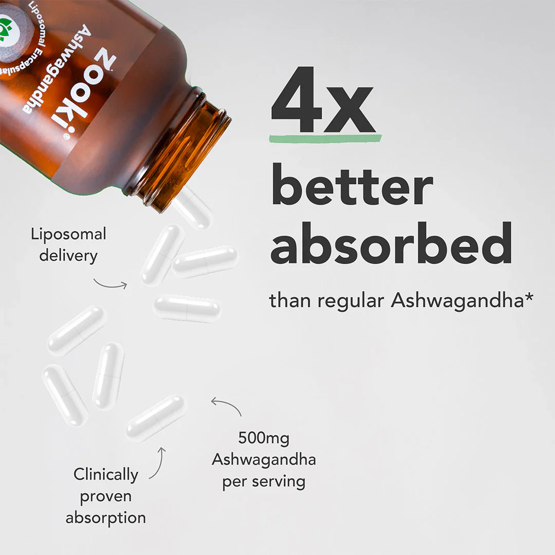 Zooki Liposomal Ashwagandha KSM-66 500mg 30 Day Supply 60 Capsules - Image 2